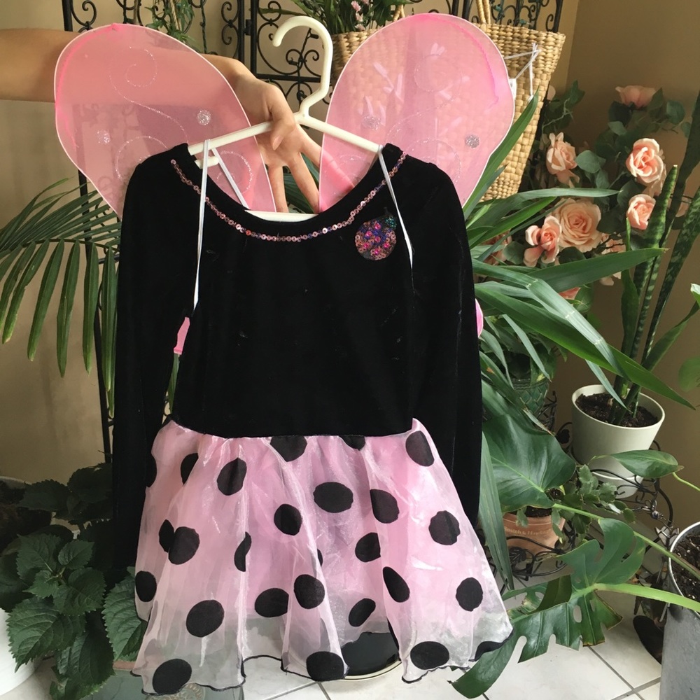 Ladybug costume set